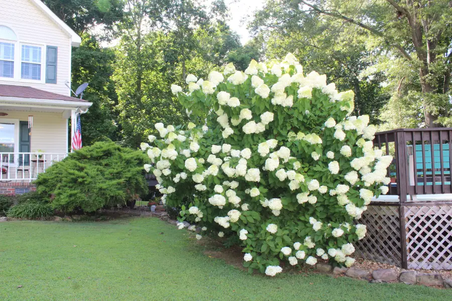 170 Hillwood Dr, Estill Springs, TN 37330 - Image #3