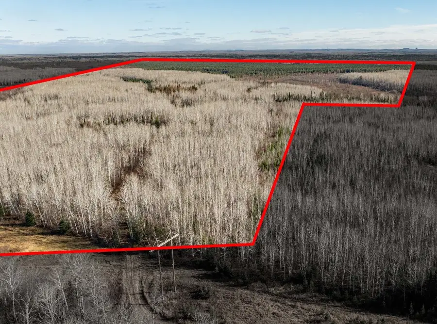 TBD County Rd 60, Grand Rapids, MN 55744 - #2