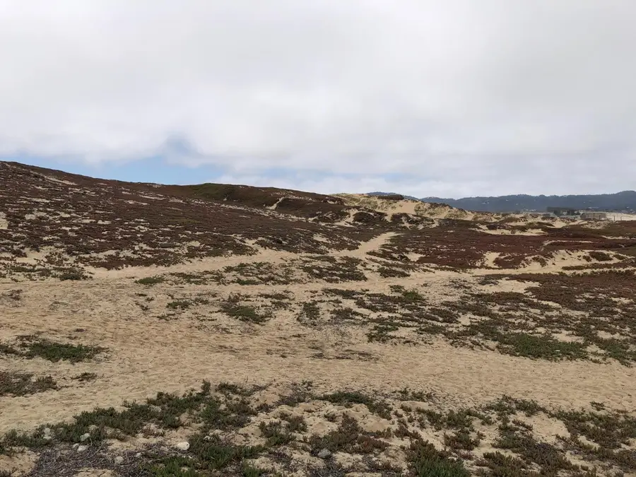 0 Tioga Avenue, Sand City, CA 93955 - Image #3