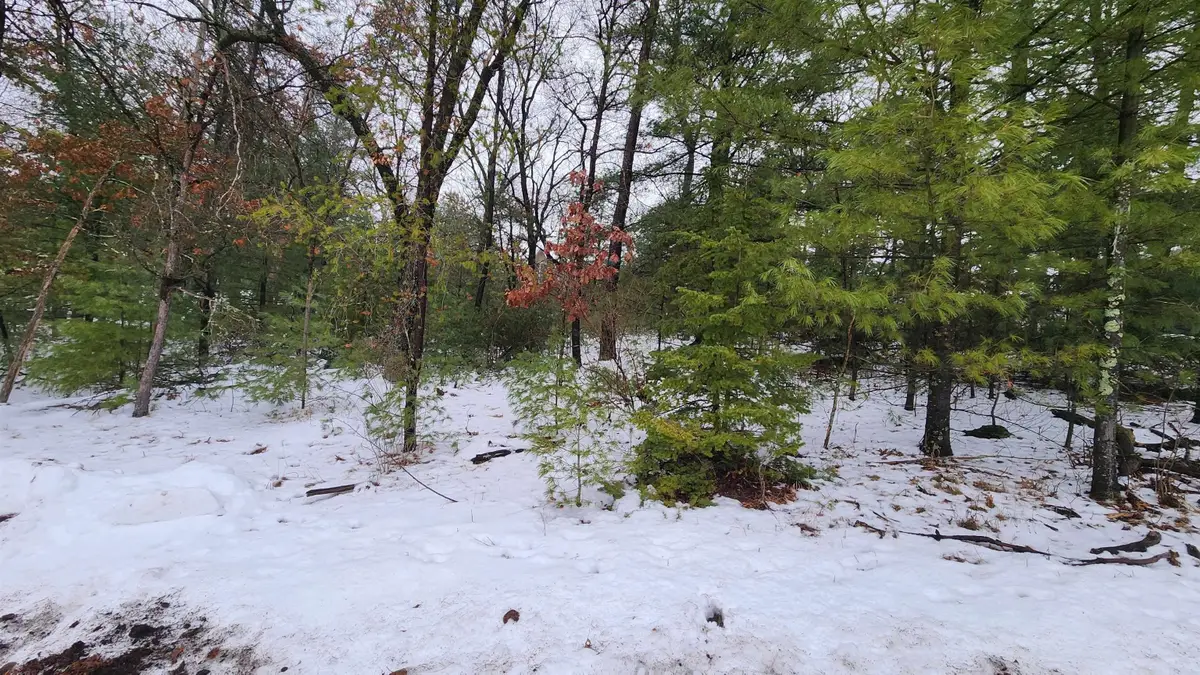 Lots 20-21 Leona Street, Friendship, WI 53934 - Image #1