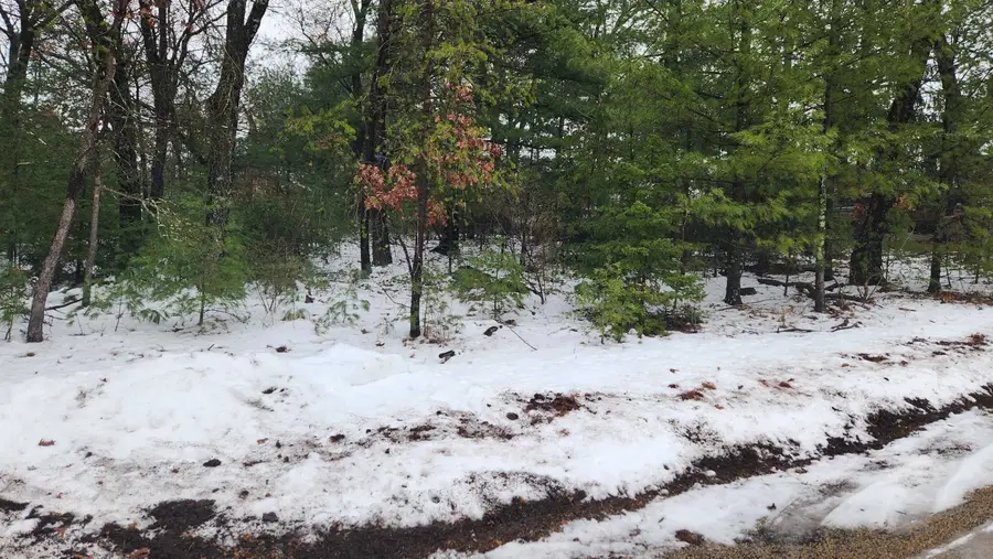 Lots 20-21 Leona Street, Friendship, WI 53934 - Image #2