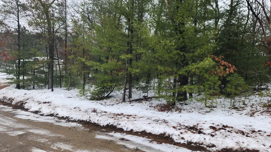 Lots 20-21 Leona Street, Friendship, WI 53934 - Image #3