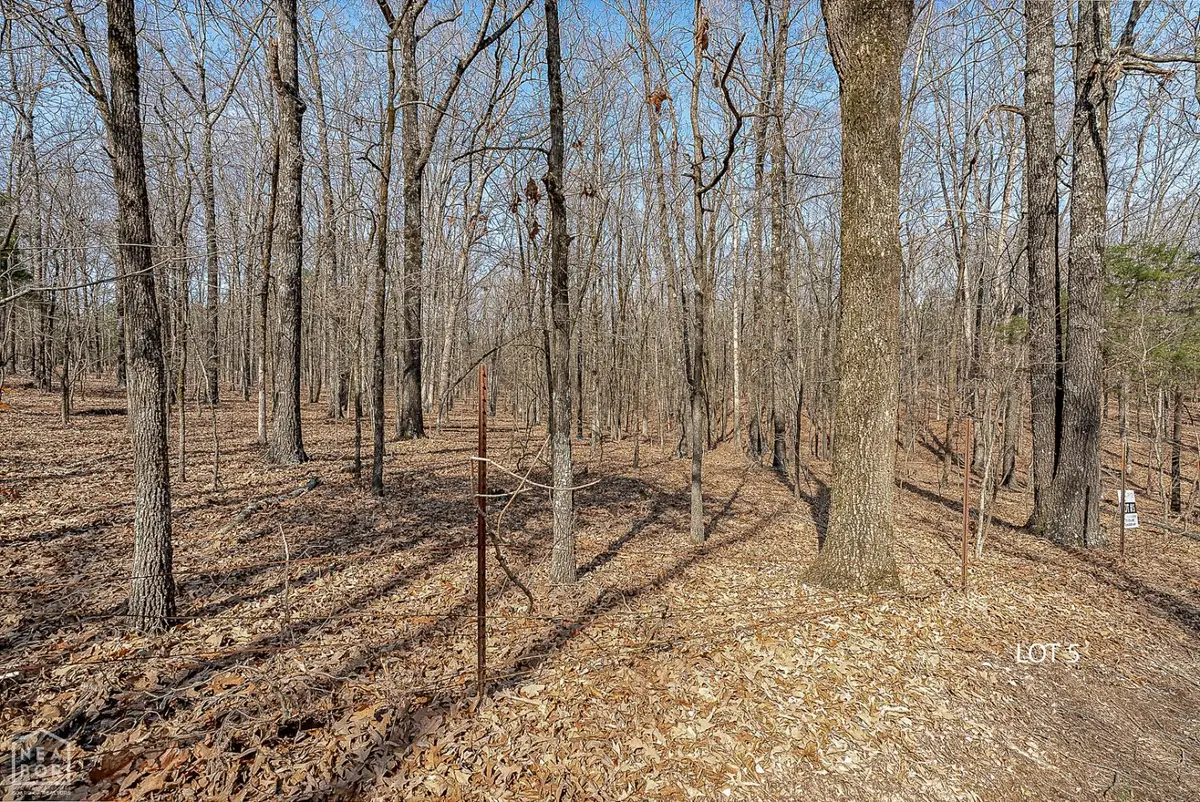 5 Highway 351, Jonesboro, AR 72405 - #1