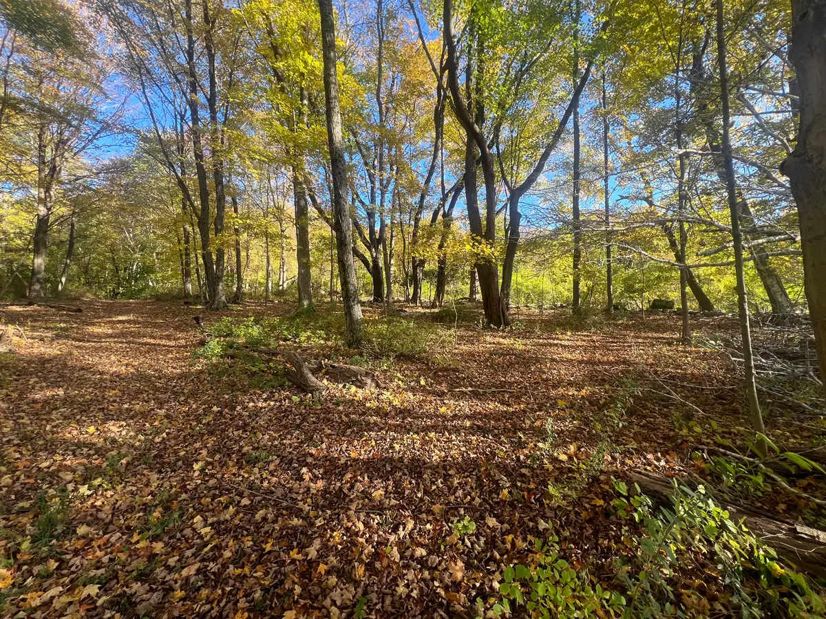 Spooner Hill Road, Kent, CT 06757 - #1