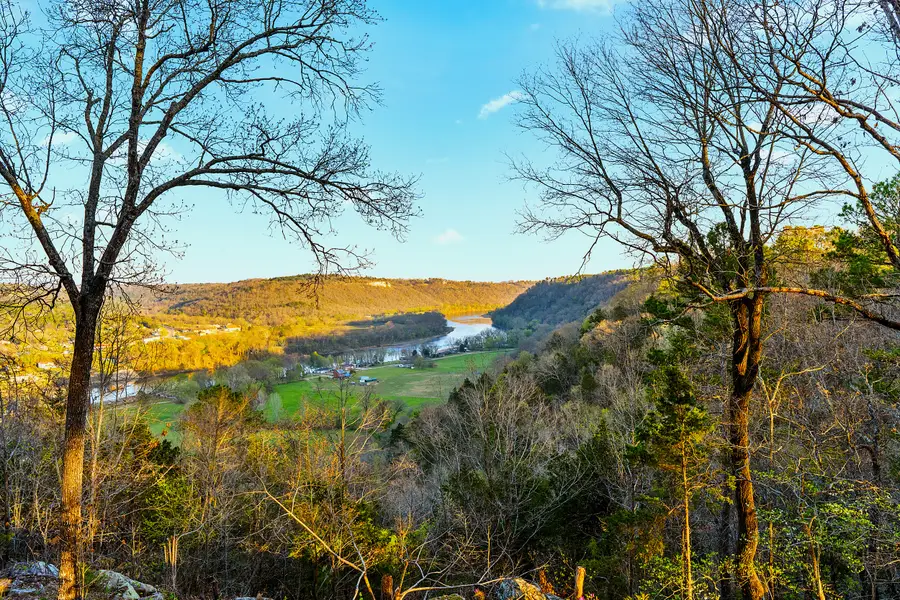 32 Wintergreen Lane, Lone Rock, AR 72653 - #2