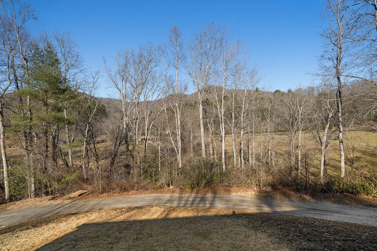 73 The Old Run Road, Fairview, NC 28730 - #1