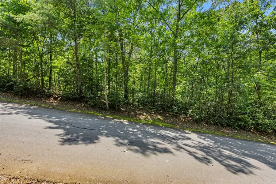 14 Alsace Way, Travelers Rest, SC 29690 - Image #2