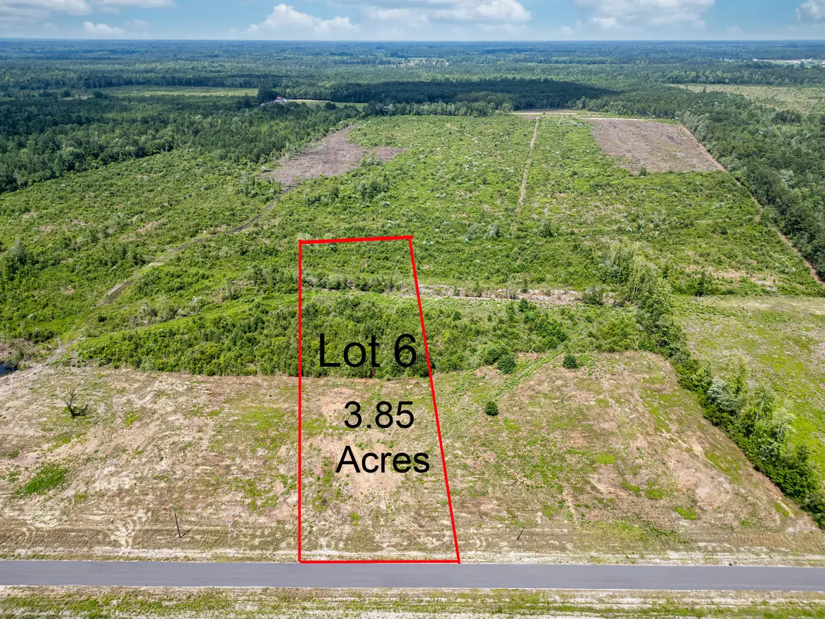 TBD Bellaire Dr., Nichols, SC 29581 - Image #1