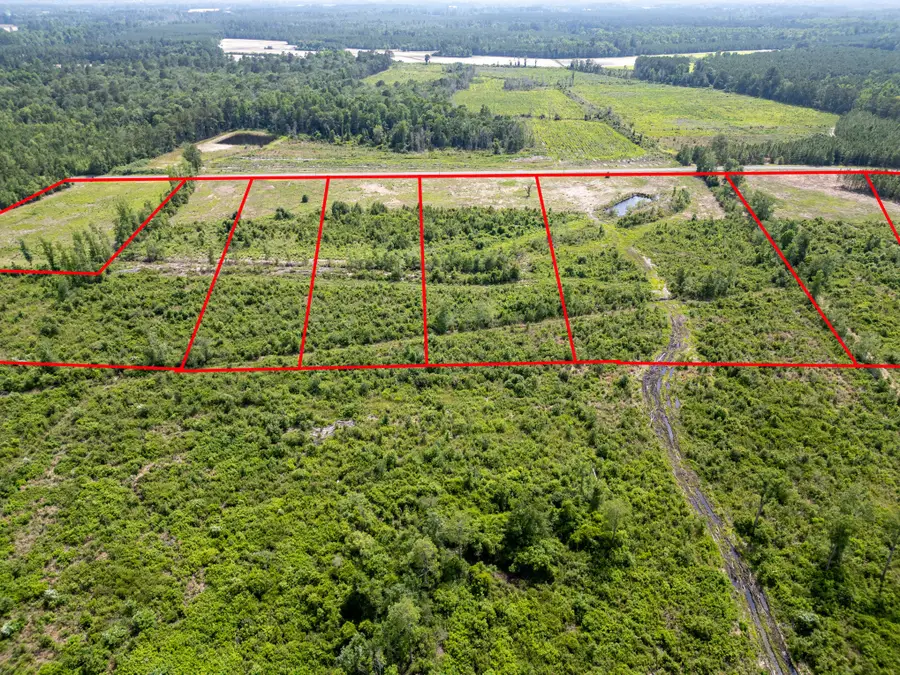 TBD Bellaire Dr., Nichols, SC 29581 - Image #2