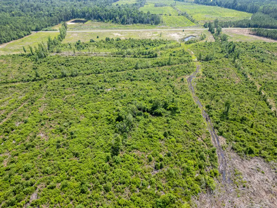 TBD Bellaire Dr., Nichols, SC 29581 - Image #3