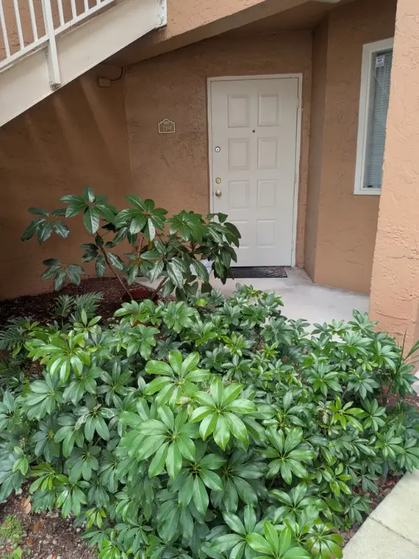 719 NW 92nd Avenue #719, Plantation, FL 33324 - #2
