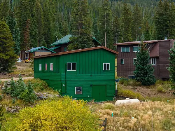 5277 Montezuma Road, Montezuma, CO 80435