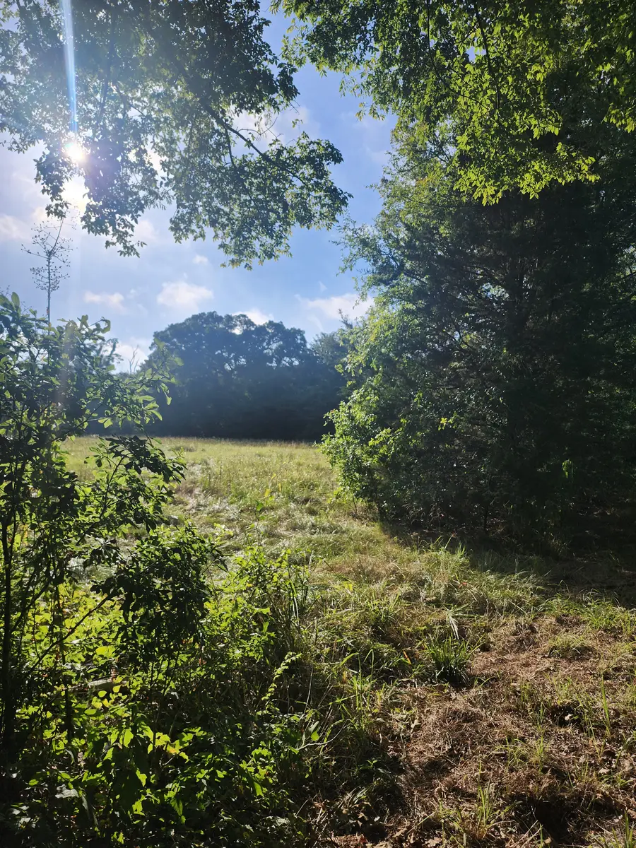 TBD Vz County Road 1215, Grand Saline, TX 75140 - Image #2