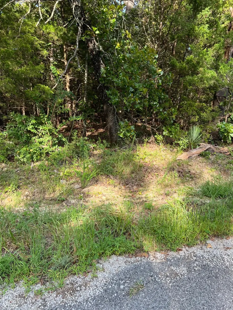 1220 Cedar Lake Drive, Horseshoe Bend, AR 72512 - Image #2