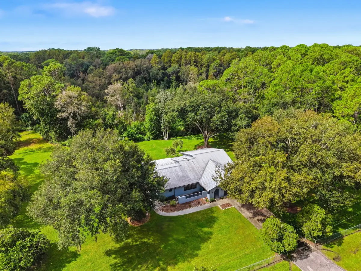 28434 Sonny Drive, Wesley Chapel, FL 33544 - #1