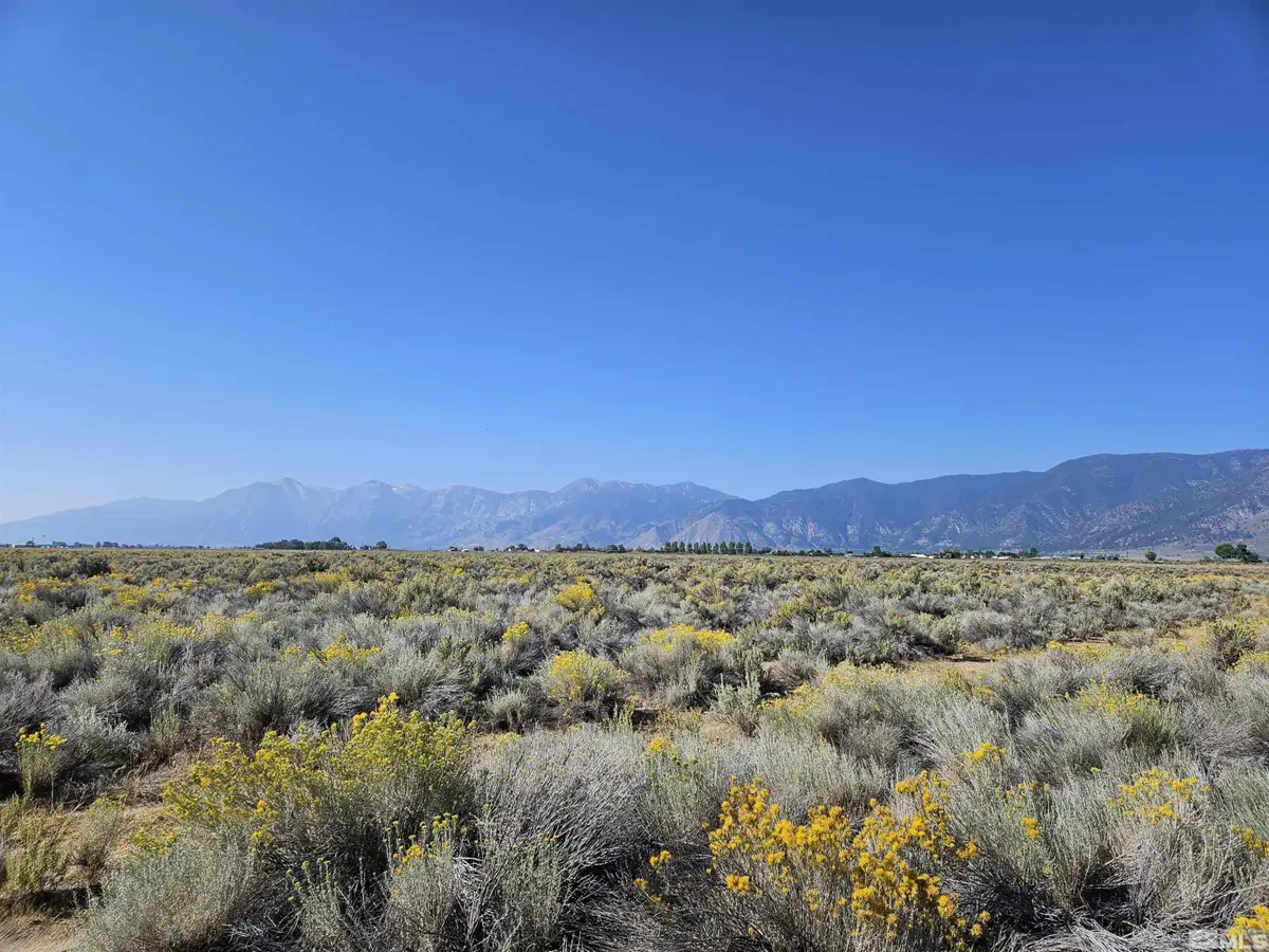 1205 Stephanie Way, Minden, NV 89423 - #1