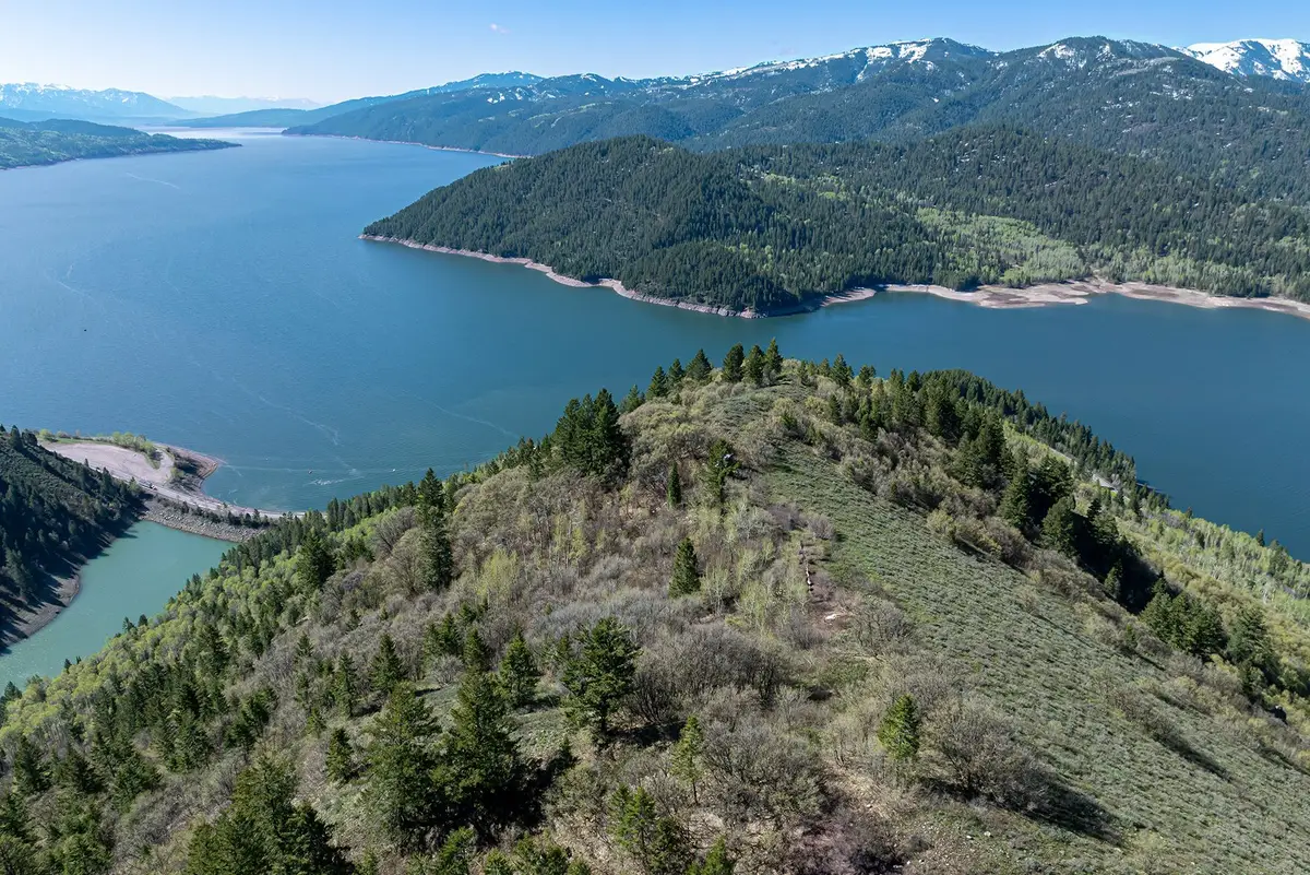 180 ACRES Cove Rd, Irwin, ID 83428 - #1