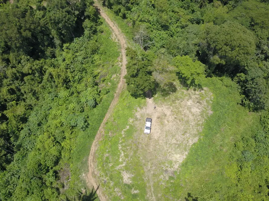 Tn-131, Treadway, TN 37881 - #2