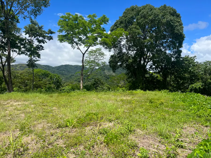 Tn-131, Treadway, TN 37881 - #3