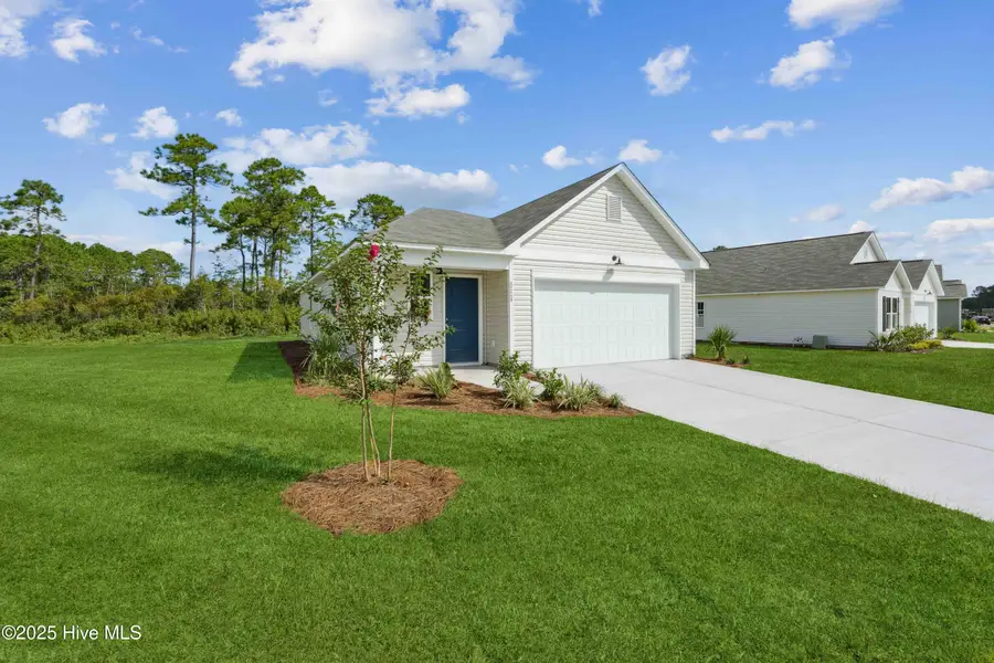 1010 Brooke Ridge Lane, Boiling Spring Lakes, NC 28461 - #2