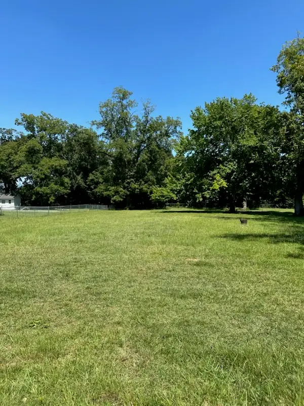 Parcel B 4th Street, Midland City, AL 36350 - Image #2