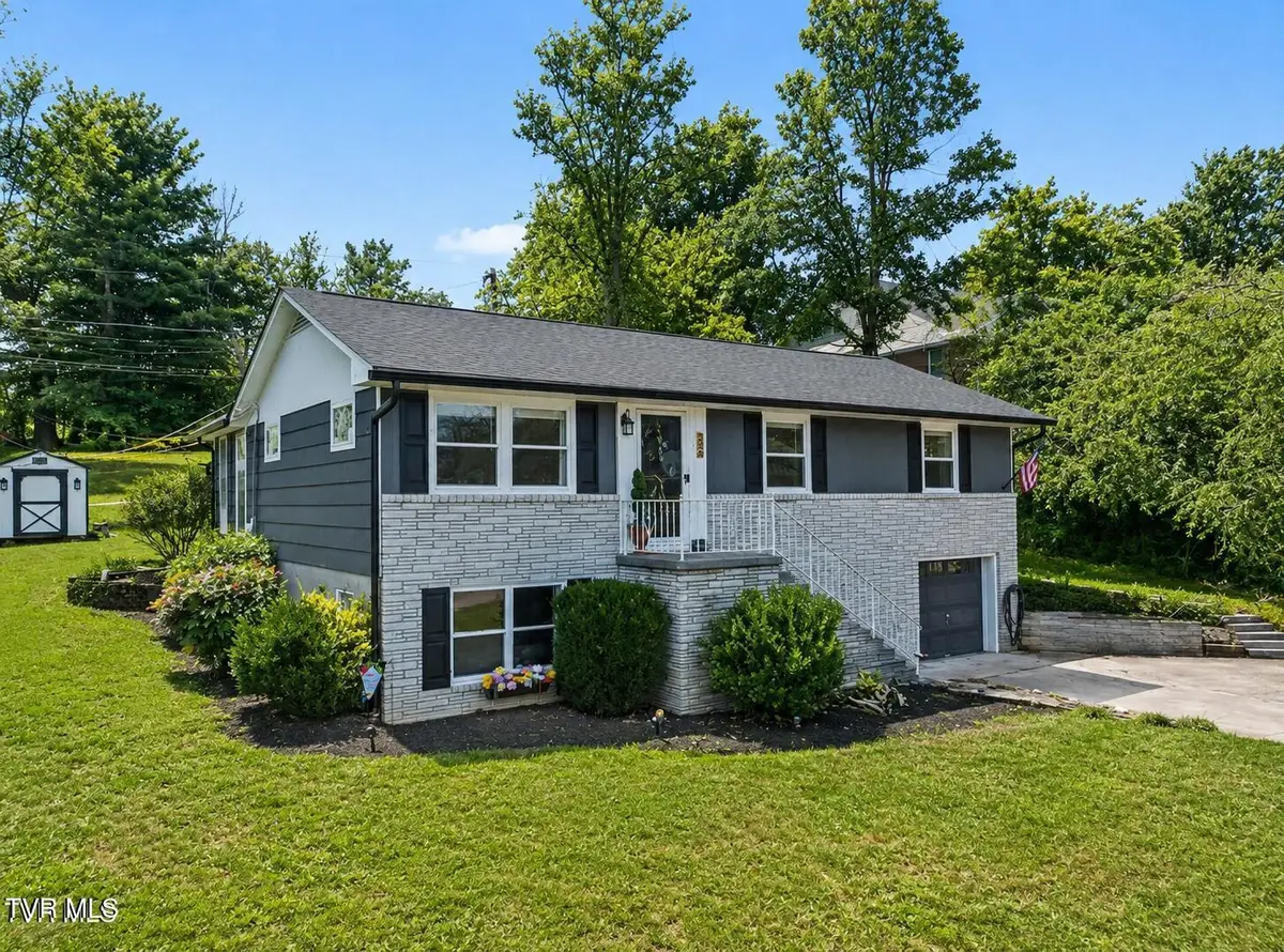 220 Susong Lane, Greeneville, TN 37743 - #1