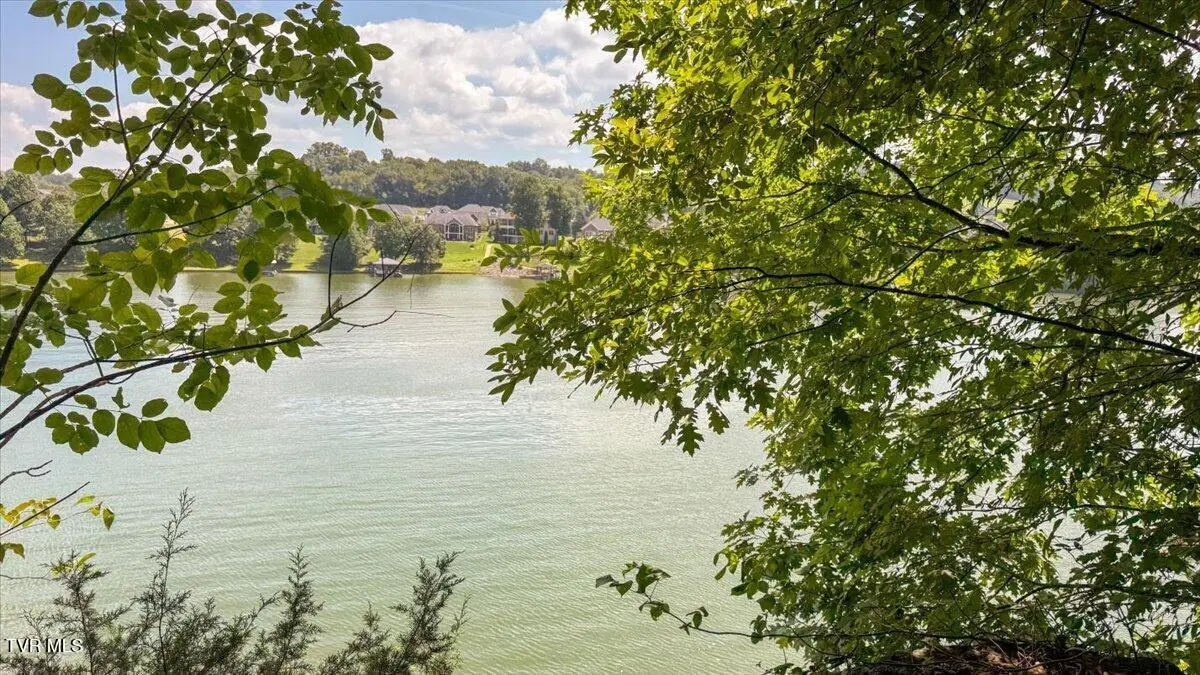 Lot 2 Lake Point Drive, Piney Flats, TN 37686 - #1
