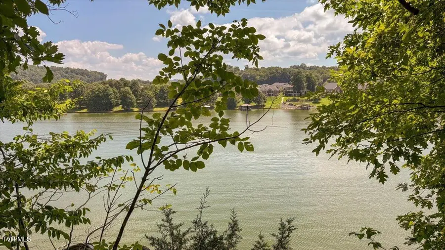 Lot 2 Lake Point Drive, Piney Flats, TN 37686 - #3