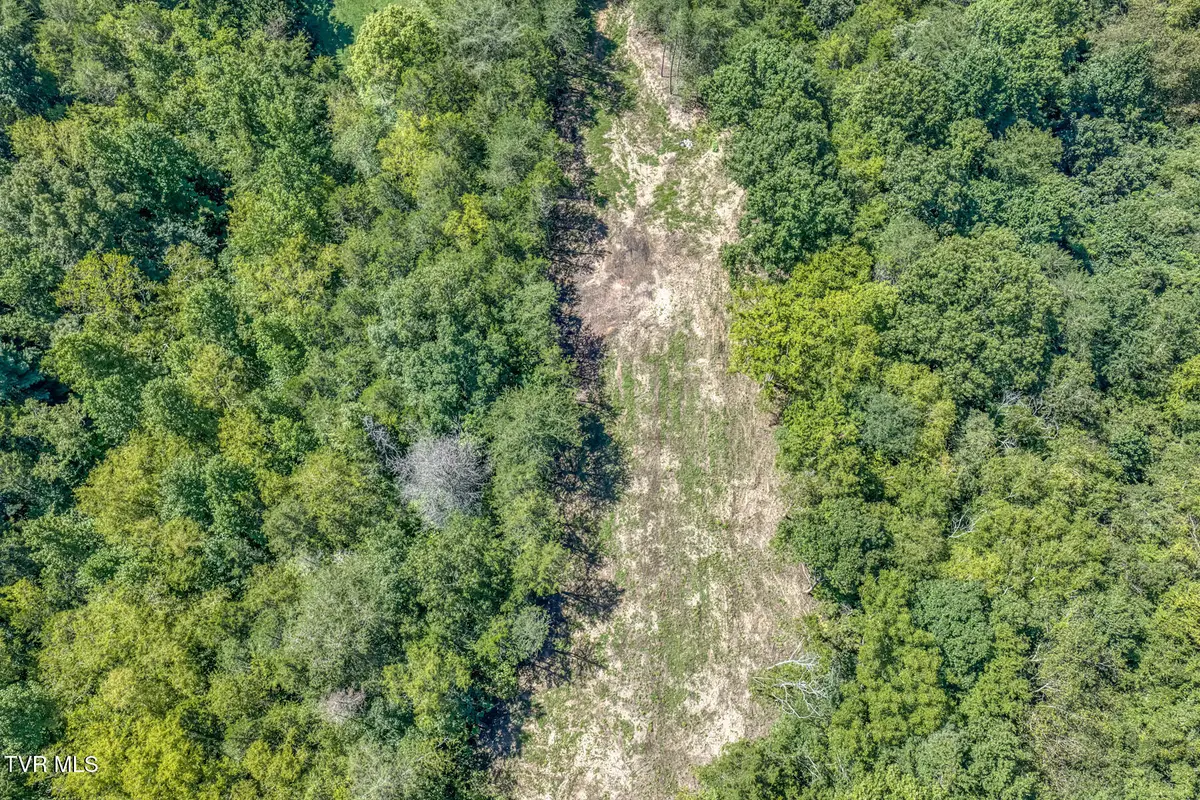 0 Old Cemetery Road, Greeneville, TN 37745 - #1