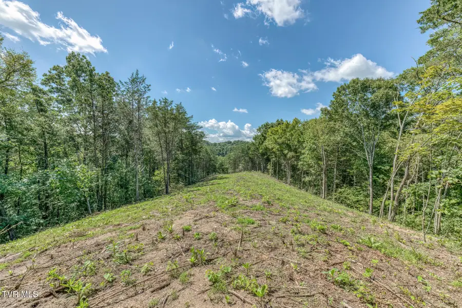 0 Old Cemetery Road, Greeneville, TN 37745 - #2