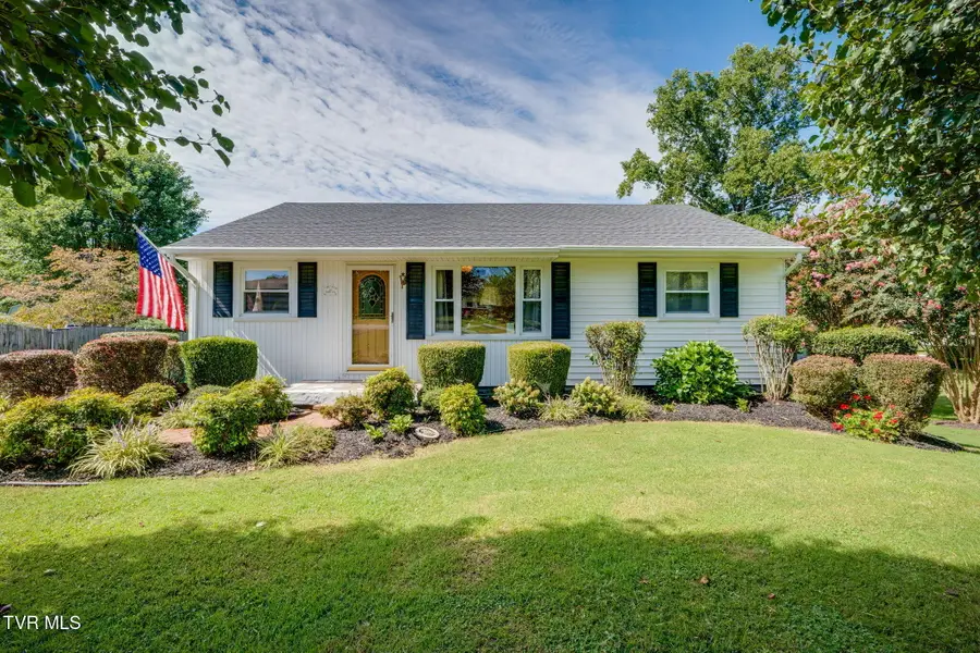 113 Reed Avenue, Greeneville, TN 37743 - #3