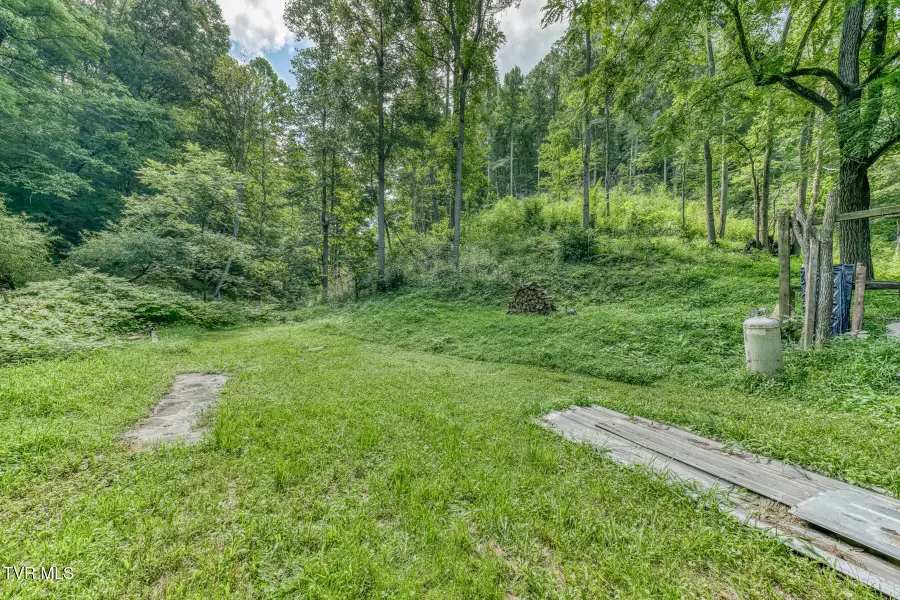 15202 Little Creek Road, Bristol, VA 24202 - #3