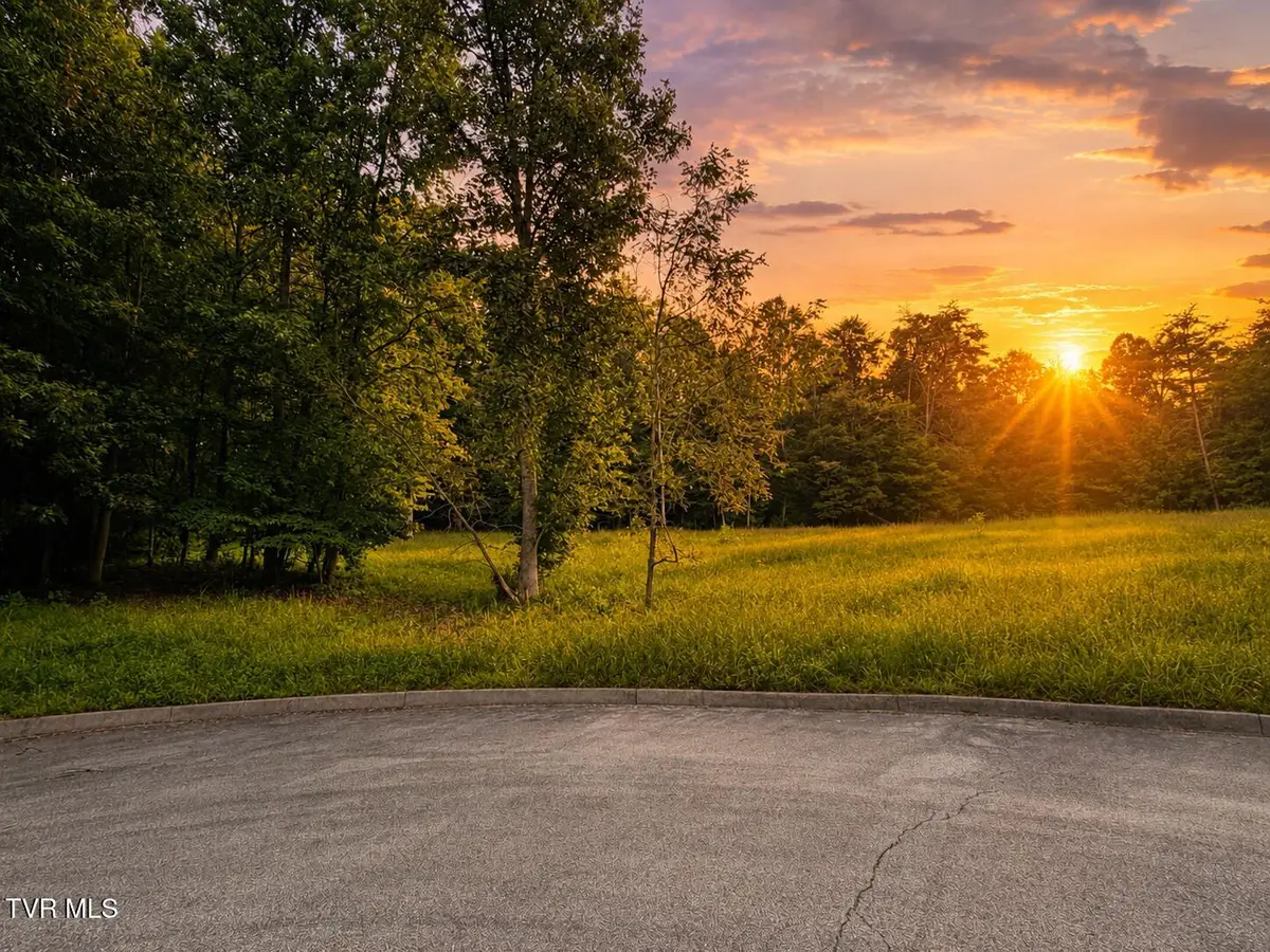3013 Wildwood Circle, Church Hill, TN 37642 - #1