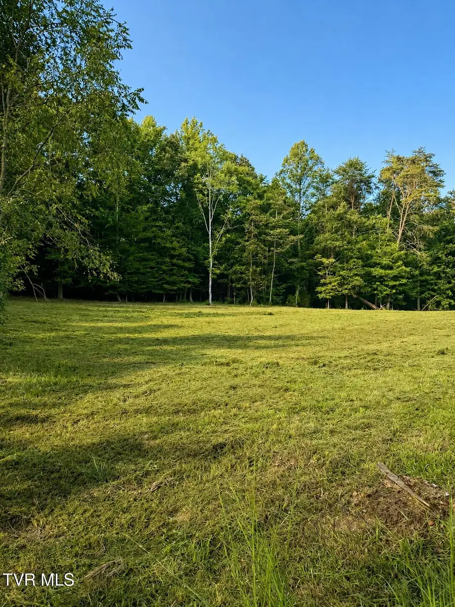 3013 Wildwood Circle, Church Hill, TN 37642 - #2