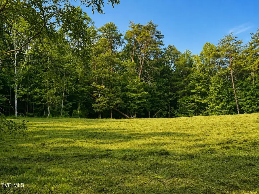 3013 Wildwood Circle, Church Hill, TN 37642 - #3