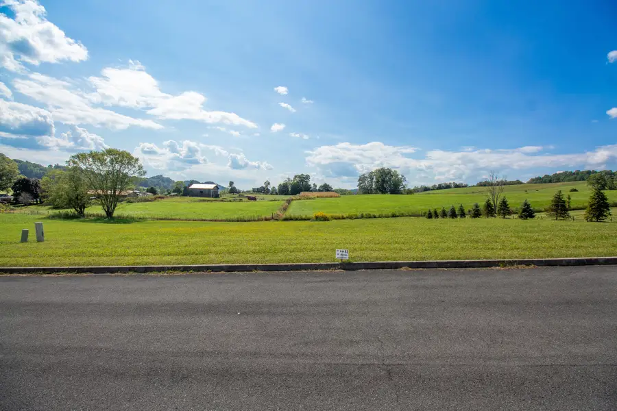 Lot 42 Walnut Grove Drive, Church Hill, TN 37642 - #2
