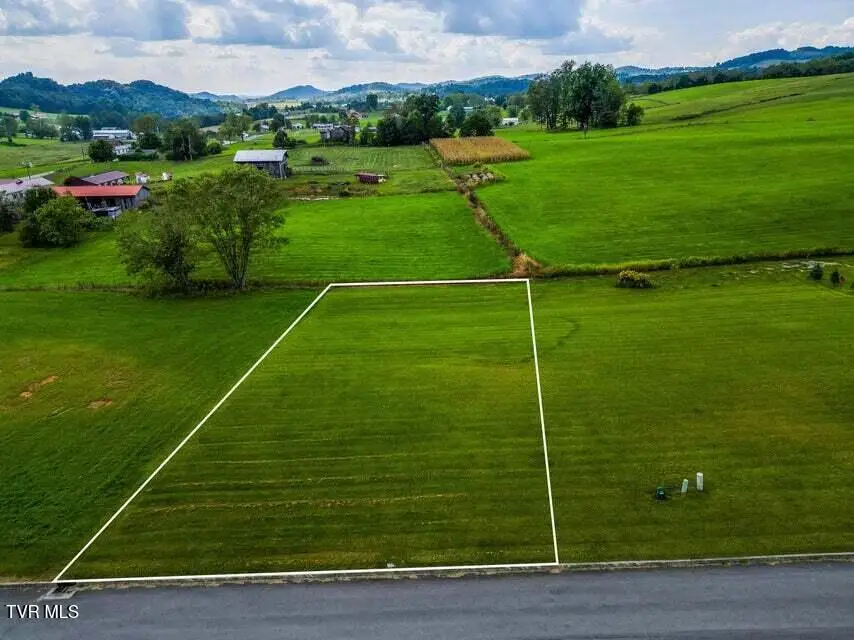 Lot 43 Walnut Grove Drive, Church Hill, TN 37642 - #1