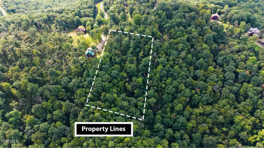 Tbd Callalantee Drive, Mountain City, TN 37683 - #3
