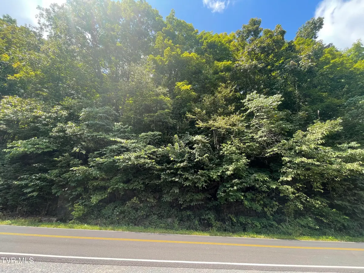 1520 Pioneer Road, Lebanon, VA 24266 - #1
