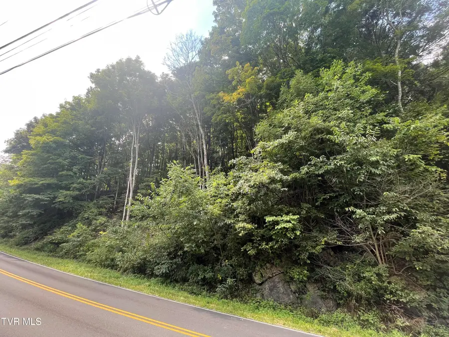 1520 Pioneer Road, Lebanon, VA 24266 - #2