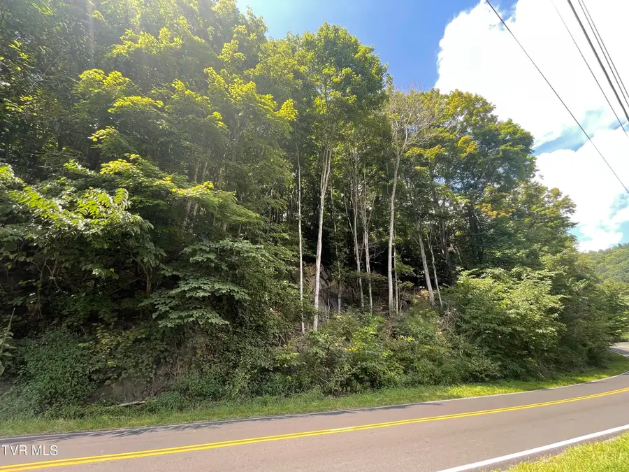 1520 Pioneer Road, Lebanon, VA 24266 - #3