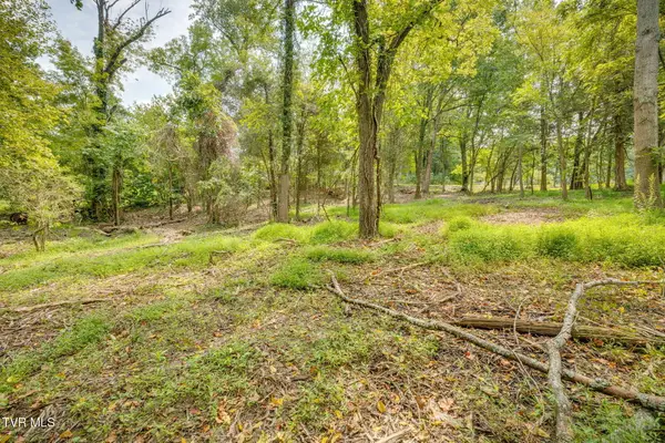 3614 Thornton Drive, Kingsport, TN 37664