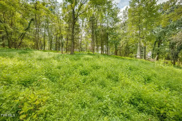 3634 Thornton Drive, Kingsport, TN 37664