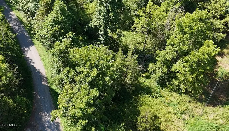 0 Rash Hollow Road, Jonesville, VA 24263 - #2