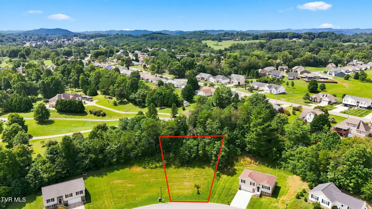 146 Brighton Place, Bristol, TN 37620 - #1
