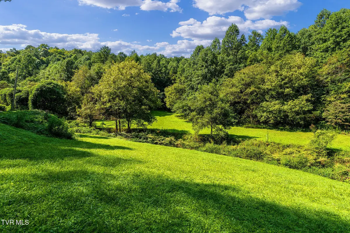 Tbd Bull Mtn Road, Del Rio, TN 37727 - #1