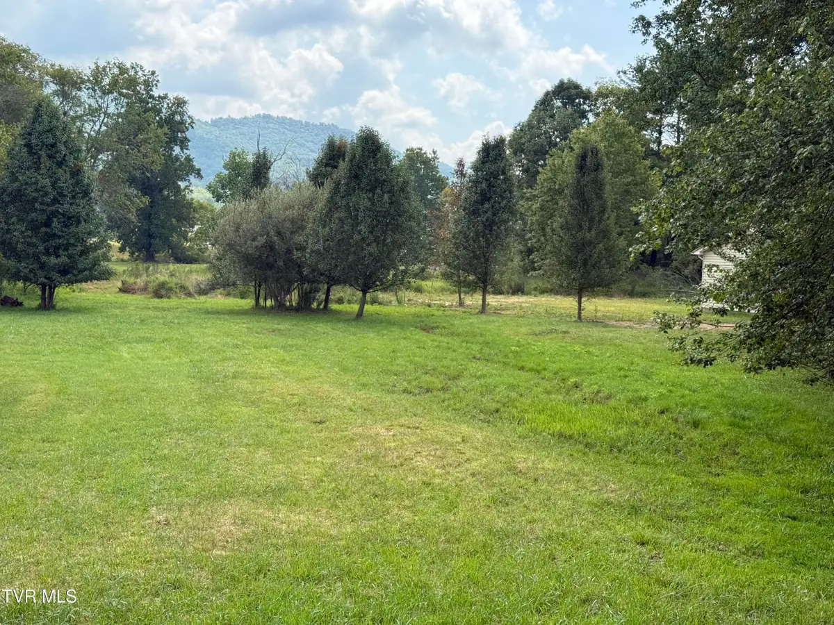 233 Shoun Street, Mountain City, TN 37683 - #1