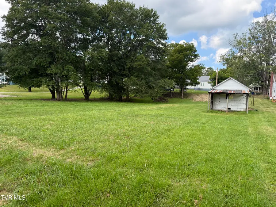 233 Shoun Street, Mountain City, TN 37683 - #3