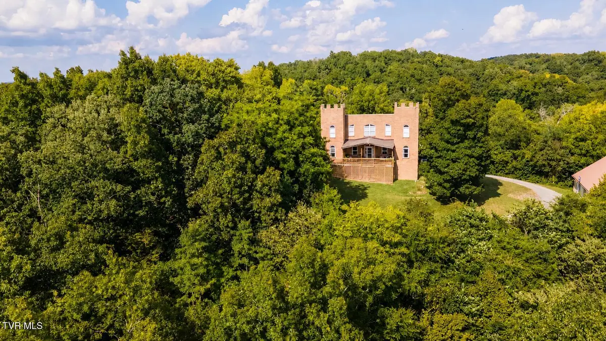 1005 Jackson Hollow Road, Mosheim, TN 37818 - #1