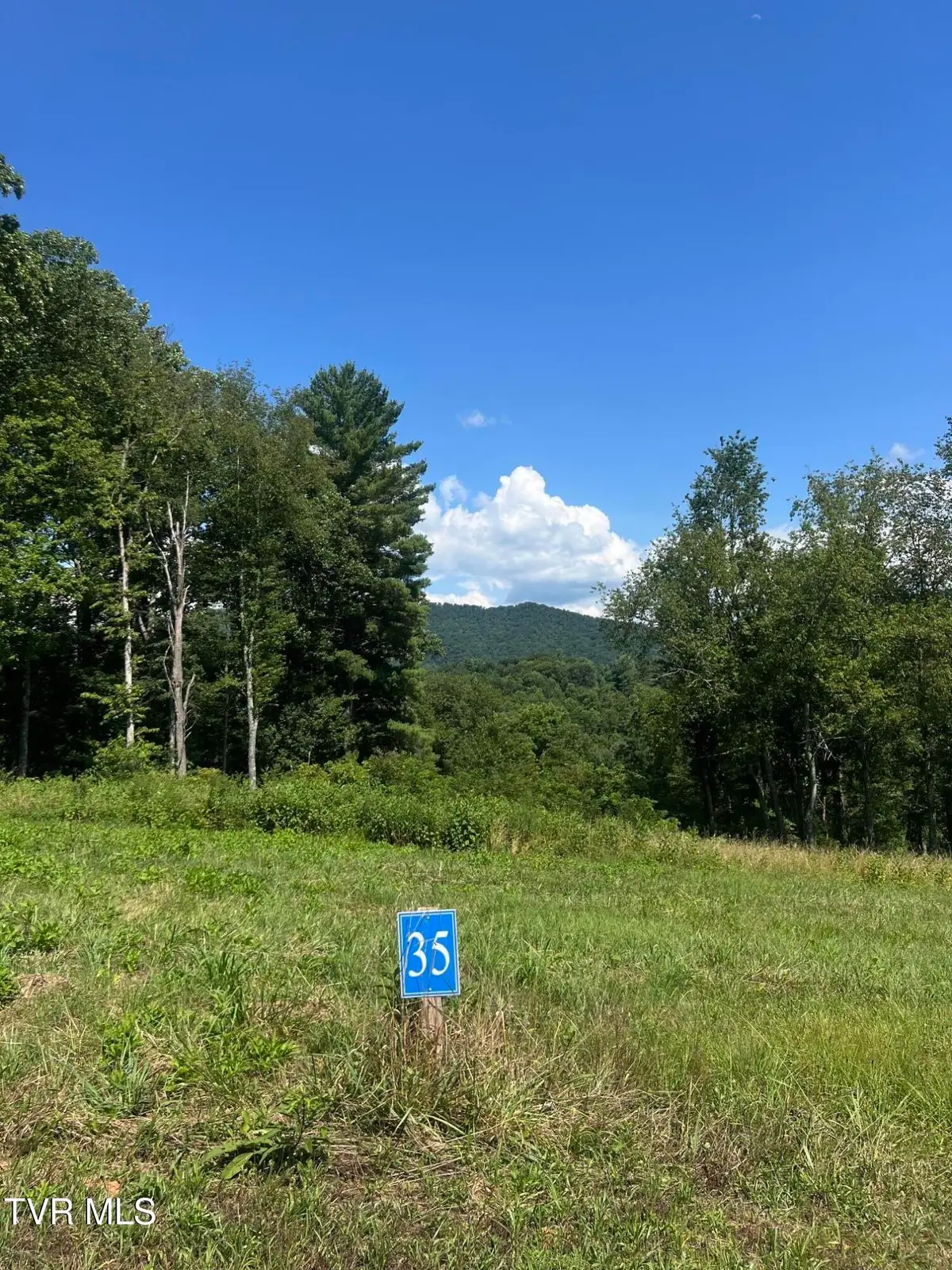 35 Cowan Town Road #35, Butler, TN 37640 - #1